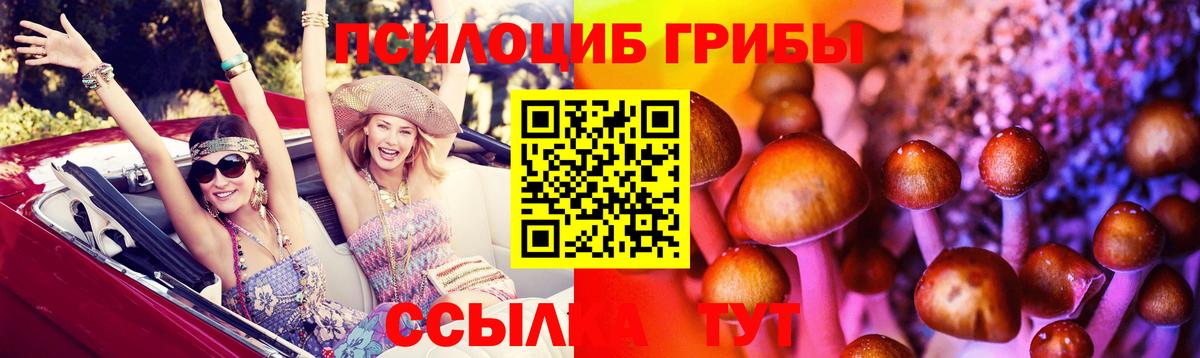 Галлюциногенные грибы GOLDEN TEACHER Рязань